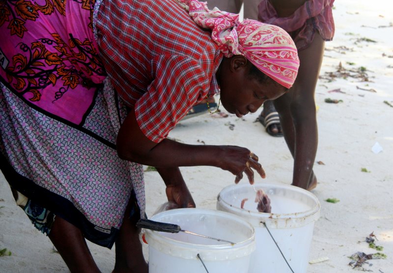 kenya_2007_0224
